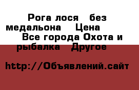 Рога лося , без медальона. › Цена ­ 15 000 - Все города Охота и рыбалка » Другое   